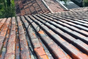 WhatsApp Image 2026-02-28 at 19.46.56