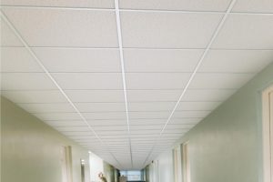 forro-em-fibra-mineral-precos